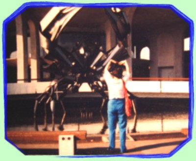 'I challenge the crab' Betty wrote as the caption for this photo